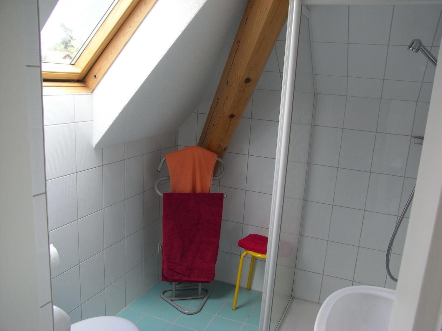 Bathroom with skylight and shower